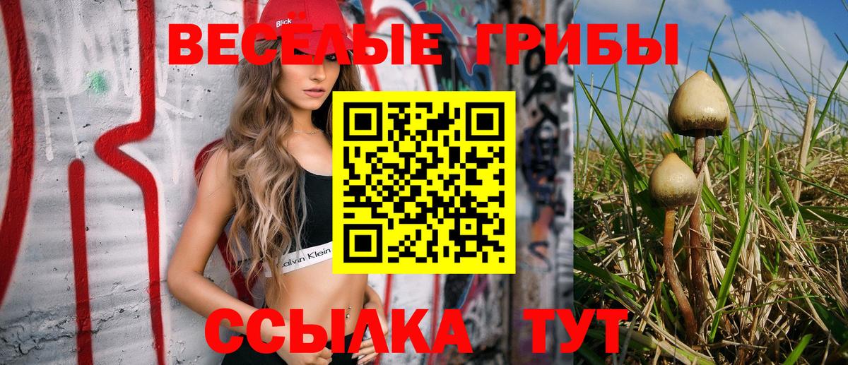 Псилоцибиновые грибы ЛСД Вольск