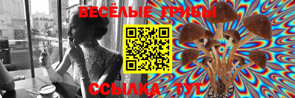 Вольск  Галлюциногенные грибы MAGIC MUSHROOMS  Вход с VPN  Псилоцибиновые грибы мицелий 